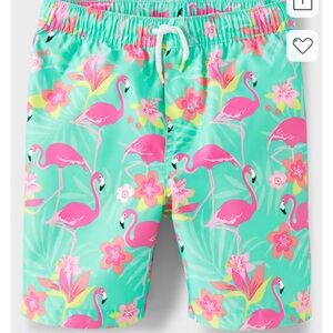 Boys Flamingo Swim Trunks - Splish-Splash - Green Flamingo Print Swim Shorts